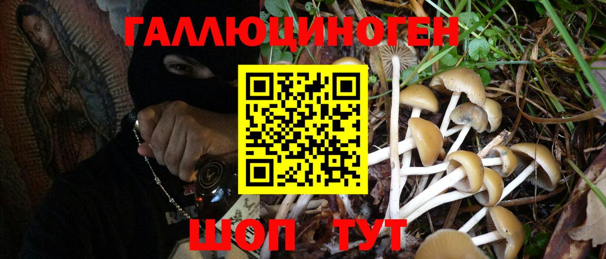 Псилоцибиновые грибы GOLDEN TEACHER  Вход с VPN  где найти   Славянск-на-Кубани 